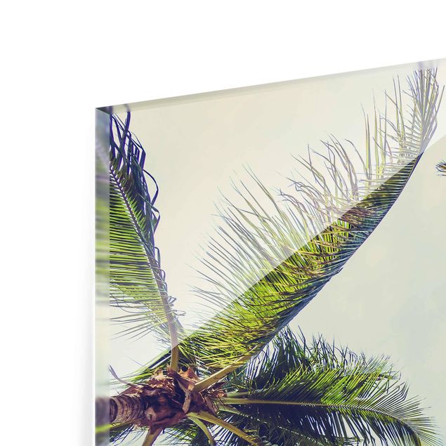 Glasschilderijen The Palm Trees