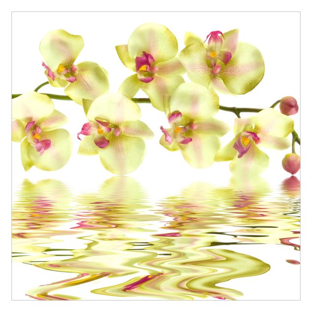 Fotobehang Dreamy Orchid Waters