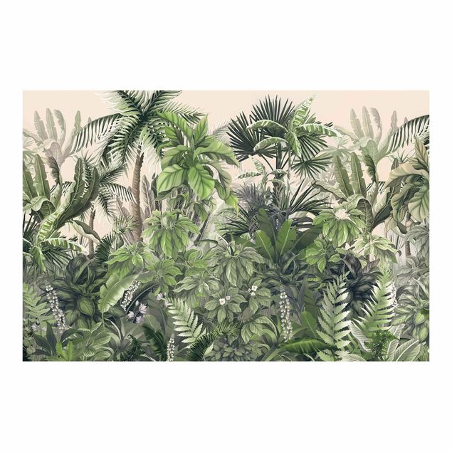 Fotobehang Jungle plants in green