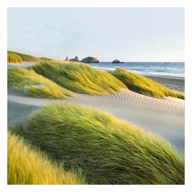 Fotobehang Dunes And Grasses At The Sea