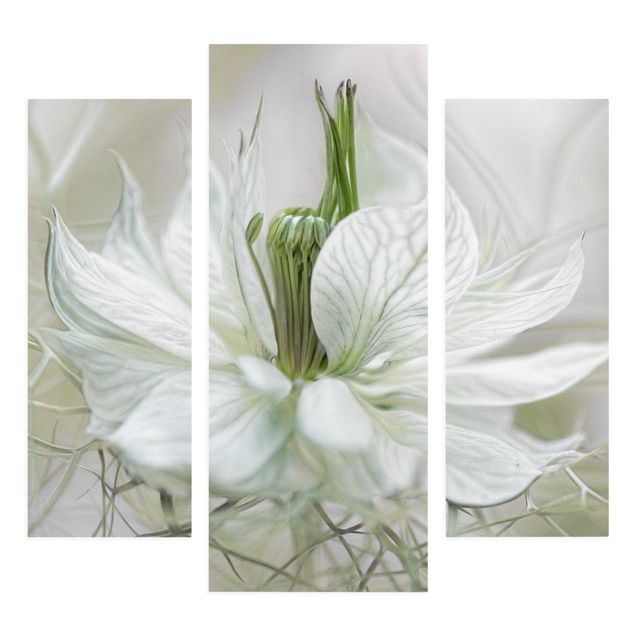 Canvas schilderijen - 3-delig White Nigella