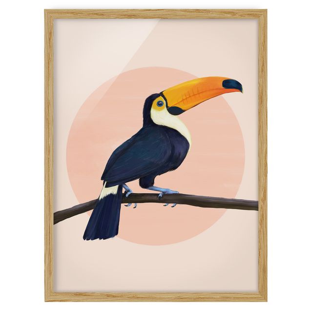 Ingelijste posters Illustration Bird Toucan Painting Pastel