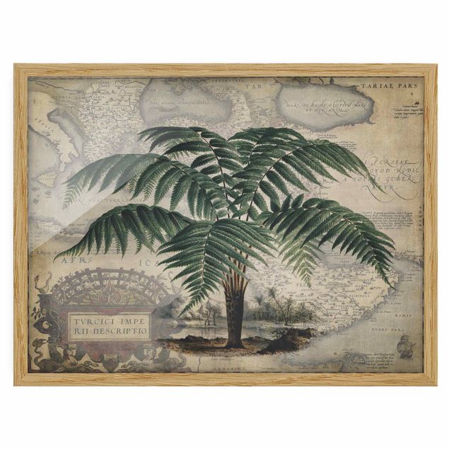 Ingelijste posters Vintage Collage - Palm And World Map