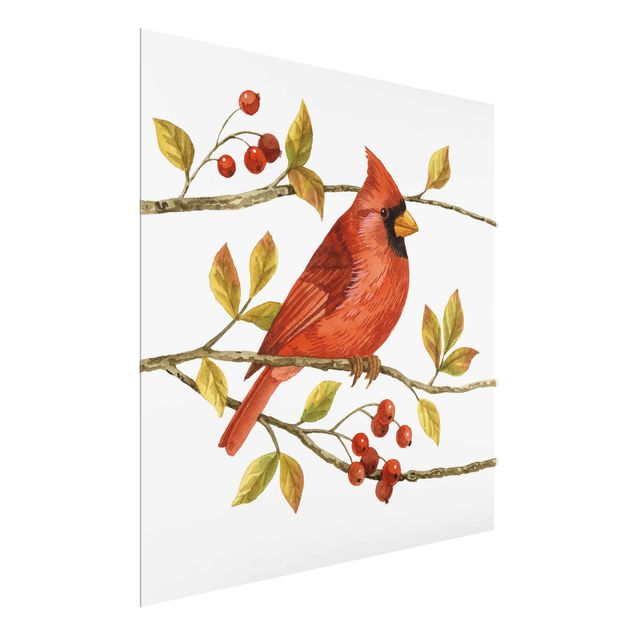 Glasschilderijen Birds And Berries - Northern Cardinal
