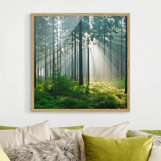 Ingelijste posters Enlightened Forest