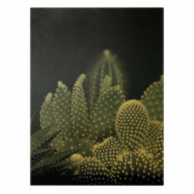 Canvas schilderijen - Goud Familiy Of Cacti At Night