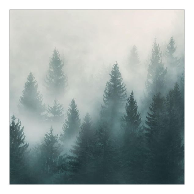 Fotobehang Coniferous Forest In Fog