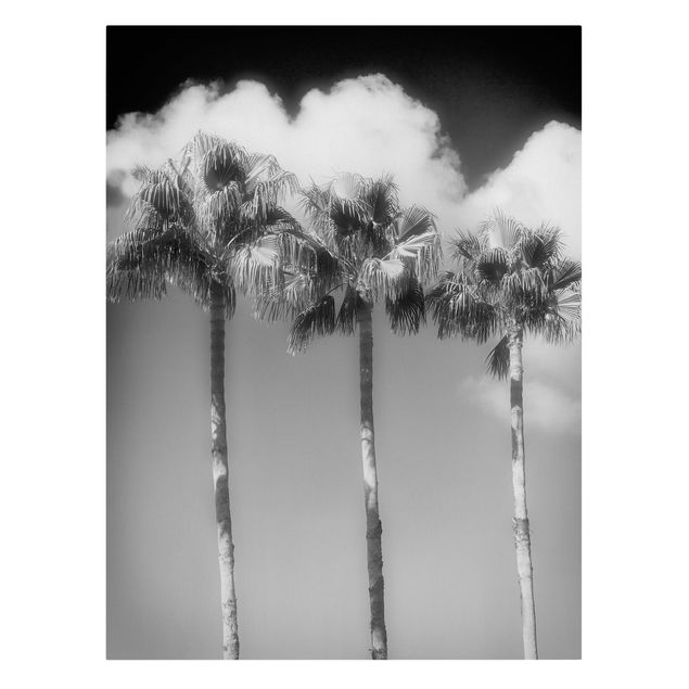 Canvas schilderijen Palm Trees Against The Sky Black And White