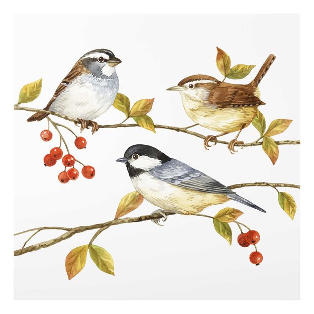Glasschilderijen Birds And Berries - Tits