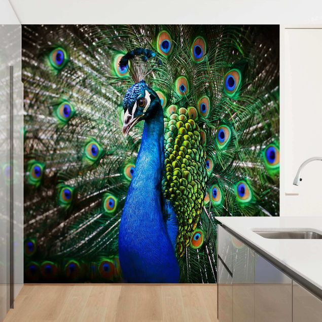 Fotobehang Noble Peacock