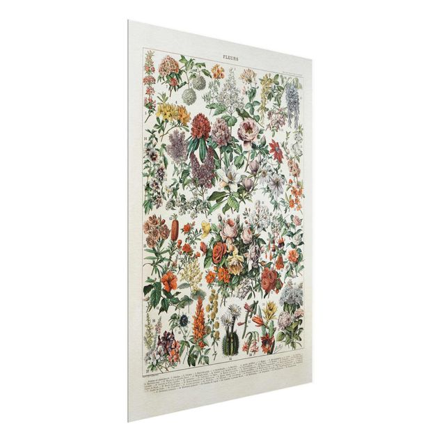 Glasschilderijen Vintage Board Flowers II