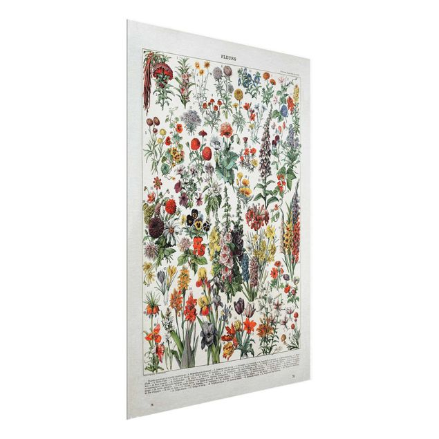 Glasschilderijen Vintage Board Flowers IV