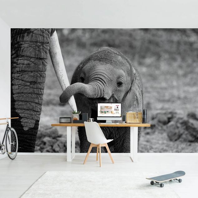 Fotobehang Baby Elephant