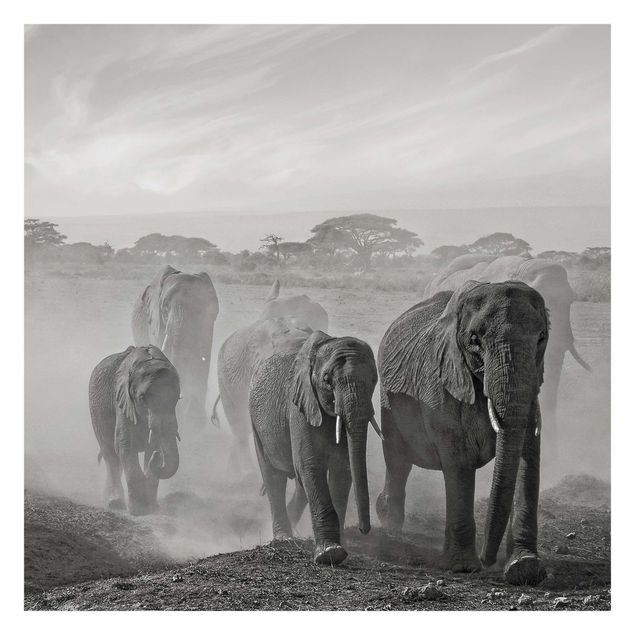 Fotobehang Herd Of Elephants