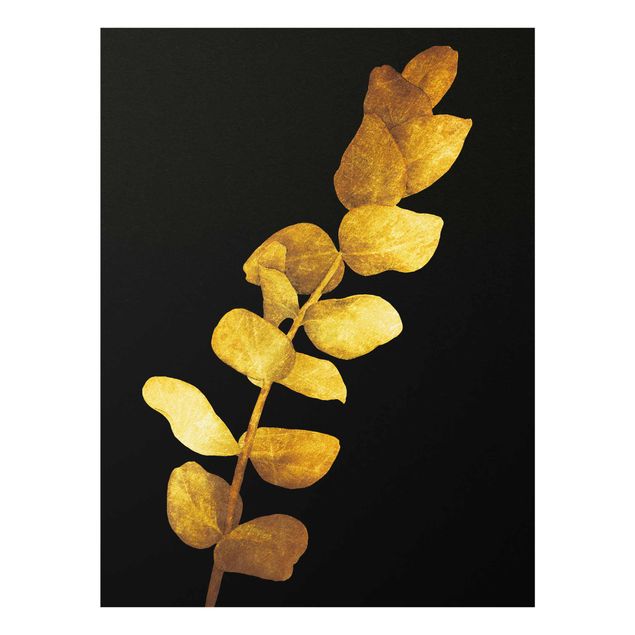 Glasschilderijen Gold - Eucalyptus On Black
