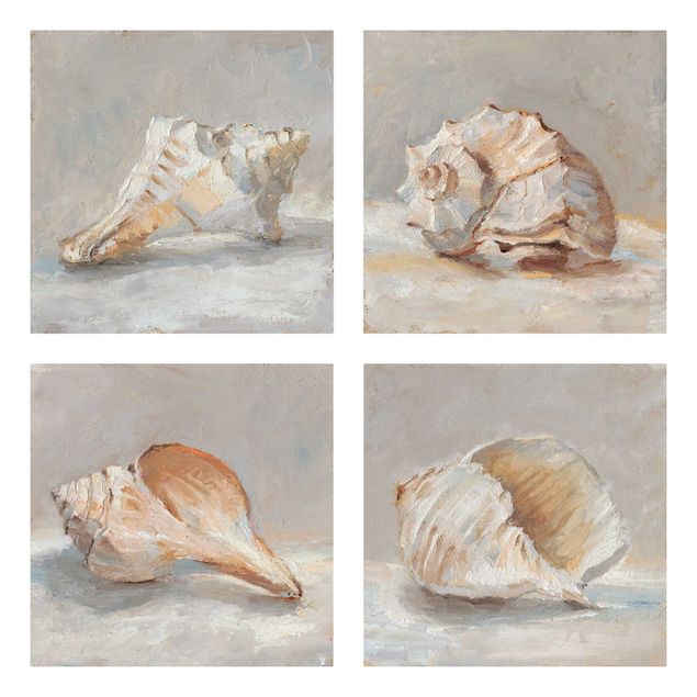 Canvas schilderijen - 4-delig Shell Study Set II