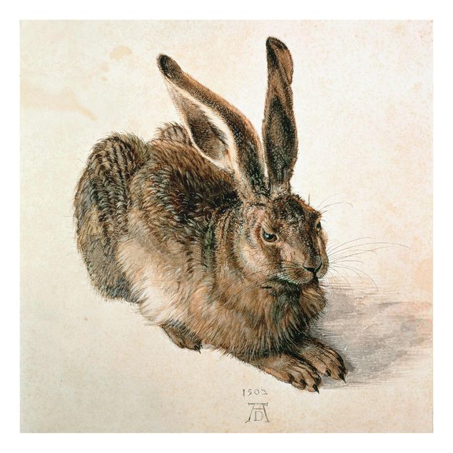 Glasschilderijen Albrecht Dürer - Young Hare