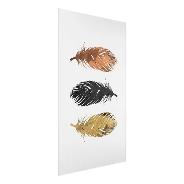 Glasschilderijen Feathers