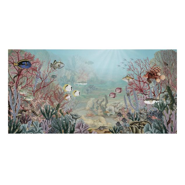 Canvas schilderijen - View from afar in the coral reef