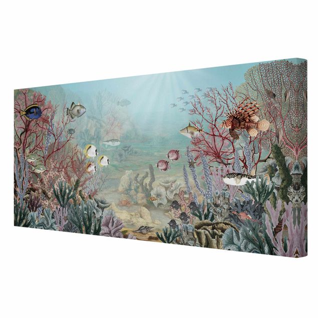 Canvas schilderijen - View from afar in the coral reef