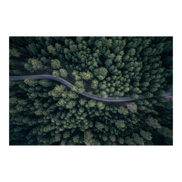 Fotobehang Aerial View - Forest Road From The Top