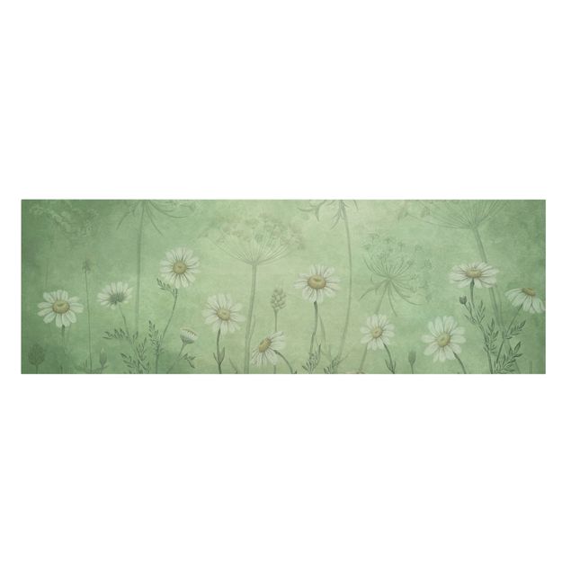 Canvas schilderijen - Daisies in the green mist