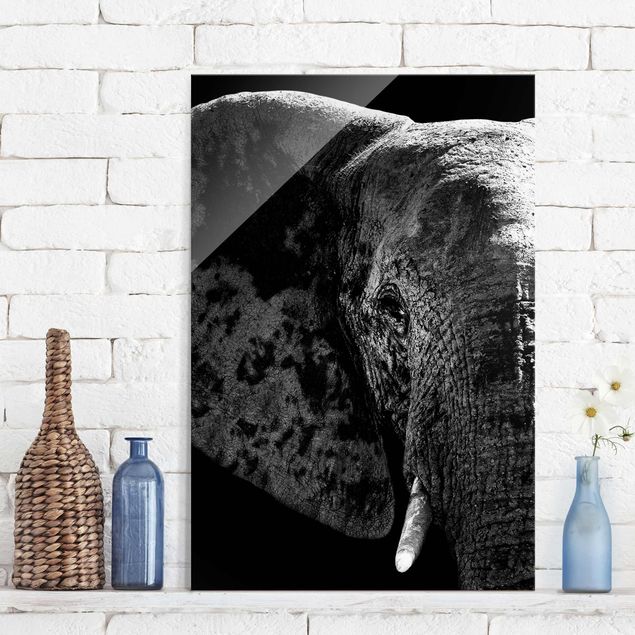 Glas Magnettafel African Elephant black & white
