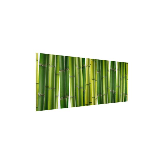 Glasschilderijen Bamboo Plants