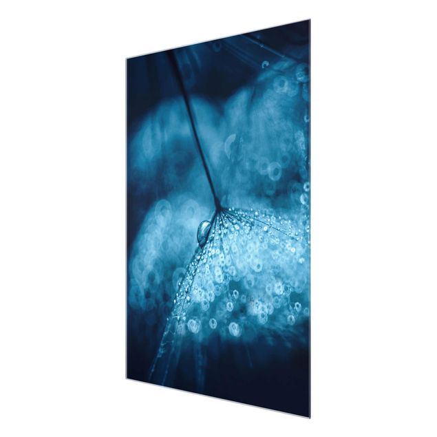 Glasschilderijen Blue Dandelion In The Rain