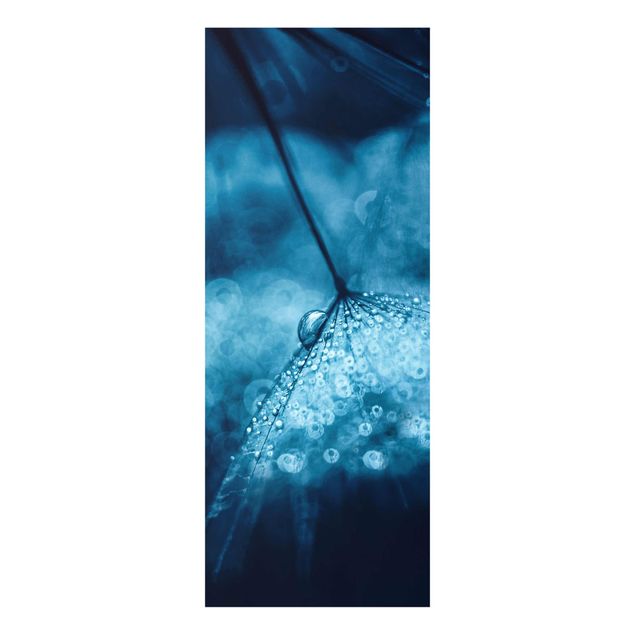 Glasschilderijen Blue Dandelion In The Rain