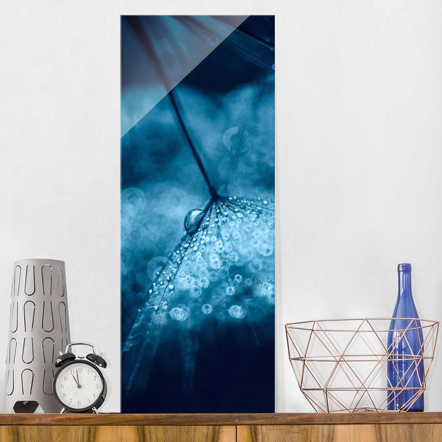 Glas Magnetboard Blue Dandelion In The Rain