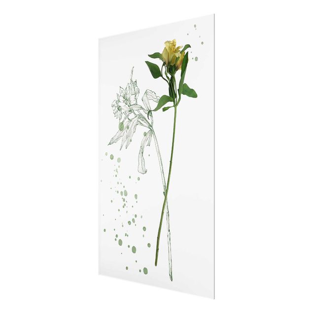Glasschilderijen Botanical Watercolour - Lily