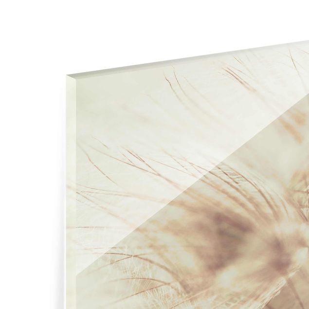 Glasschilderijen Detailed Dandelion Macro Shot With Vintage Blur Effect