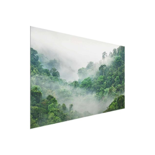 Glasschilderijen Jungle In The Fog
