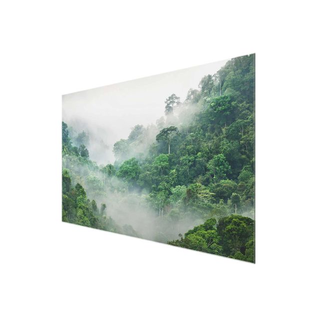 Glasschilderijen Jungle In The Fog