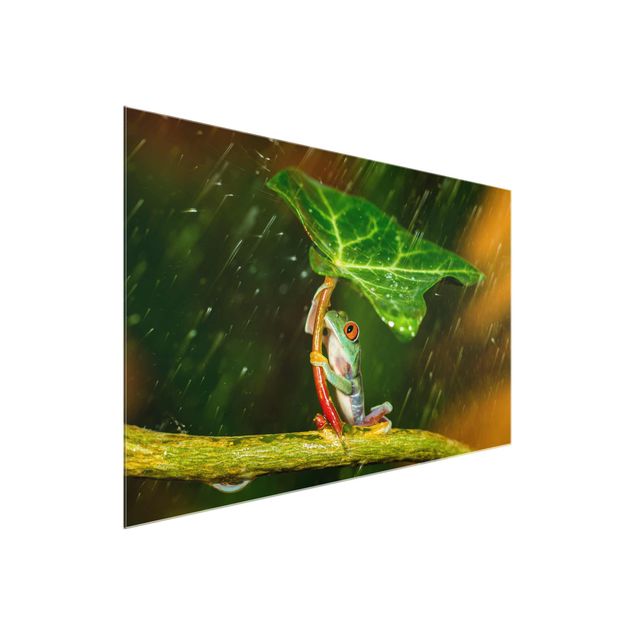 Glasschilderijen Frog In The Rain