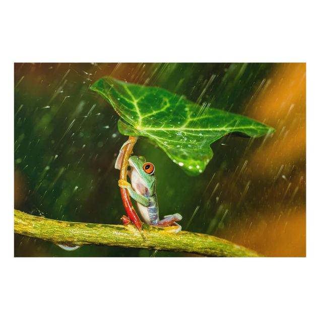 Glasschilderijen Frog In The Rain