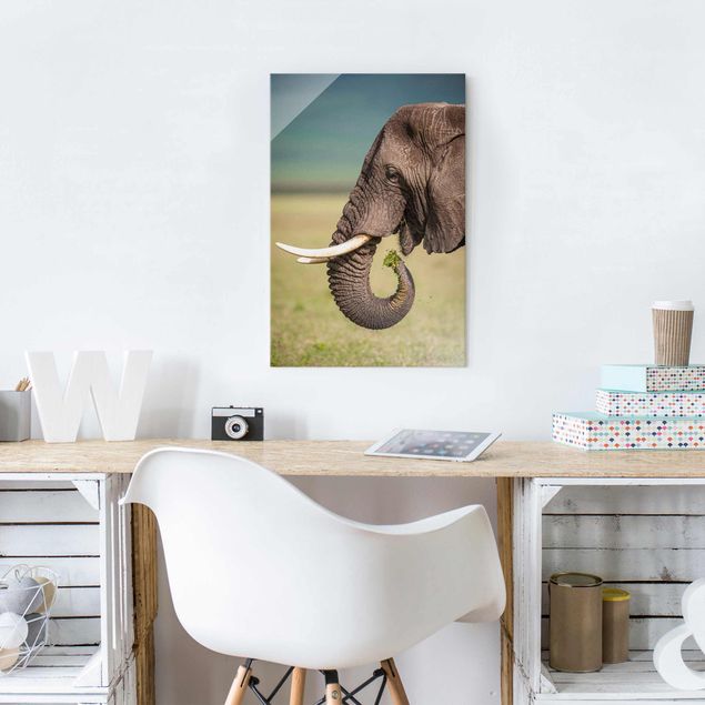 Glasschilderijen Feeding Elephants In Africa