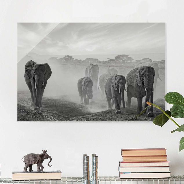 Glas Magnetboard Herd Of Elephants
