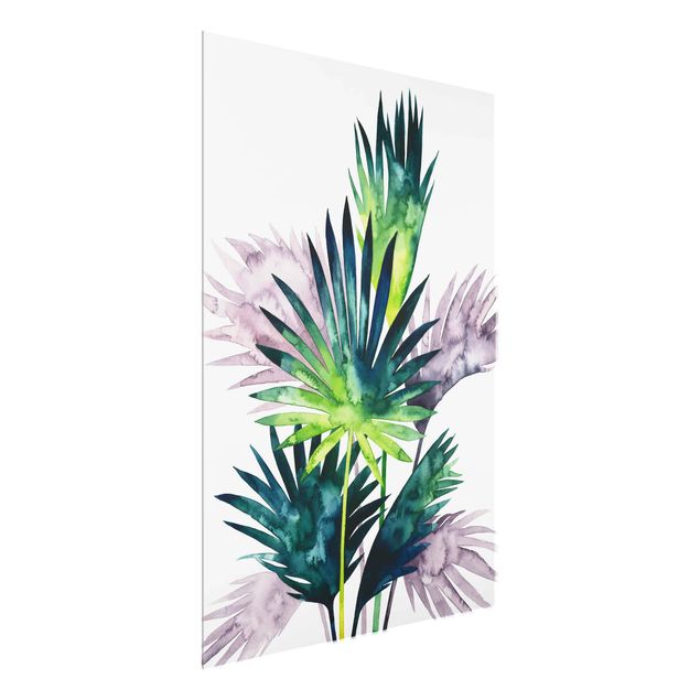 Glasschilderijen Exotic Foliage - Fan Palm