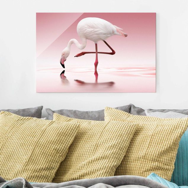 Magnettafel Glas Flamingo Dance