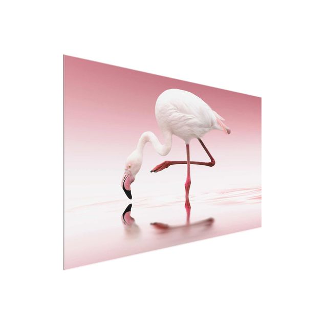 Glasschilderijen Flamingo Dance