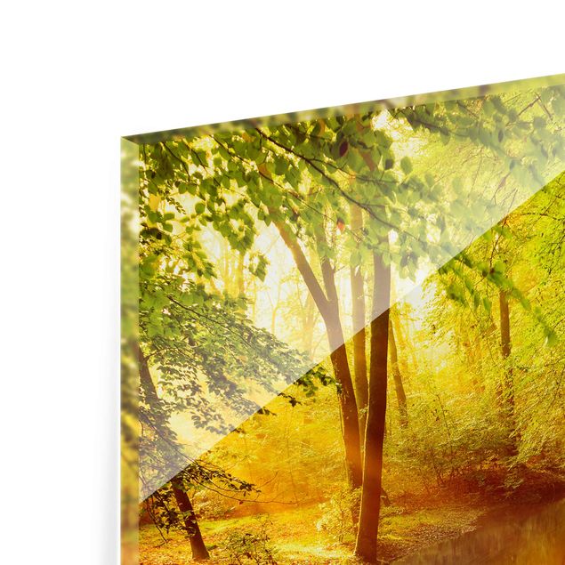 Glasschilderijen Autumn Forest