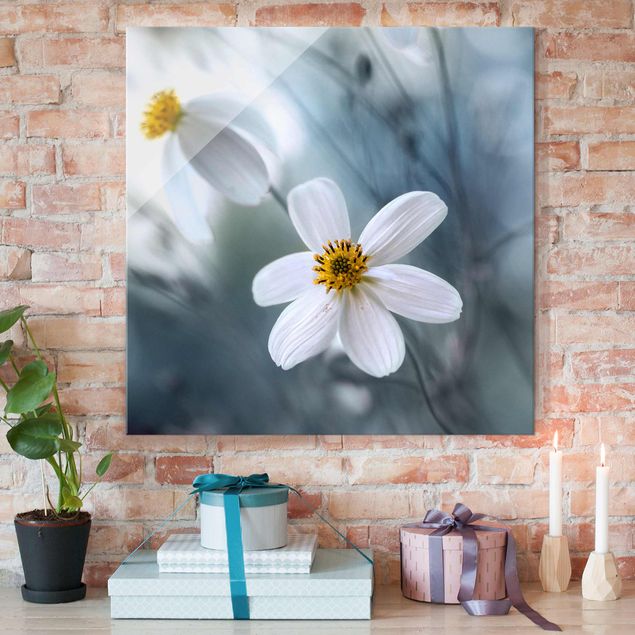 Glas Magnetboard Cosmos in Pastels