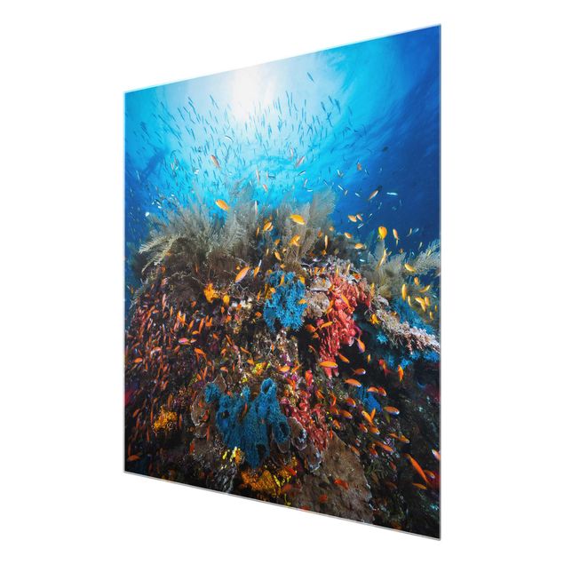 Glasschilderijen Lagoon Underwater