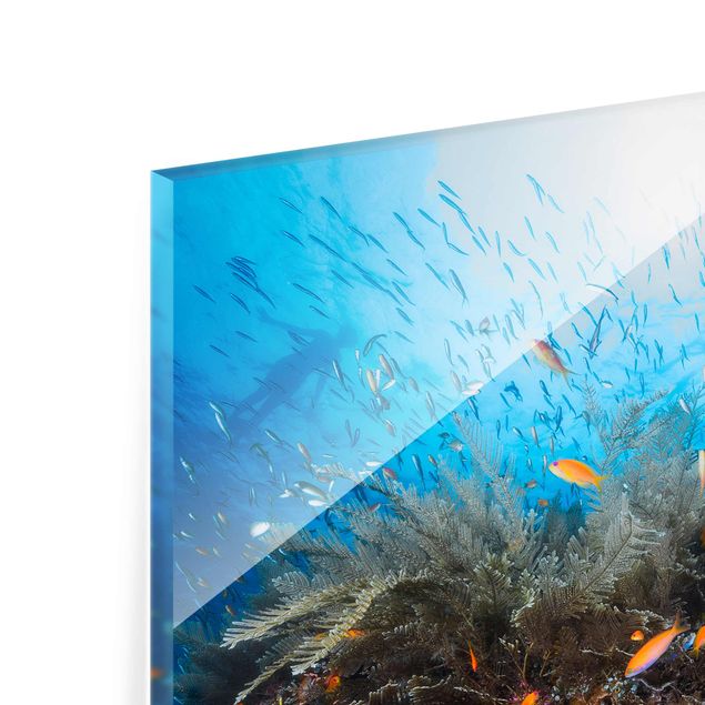 Glasschilderijen Lagoon Underwater