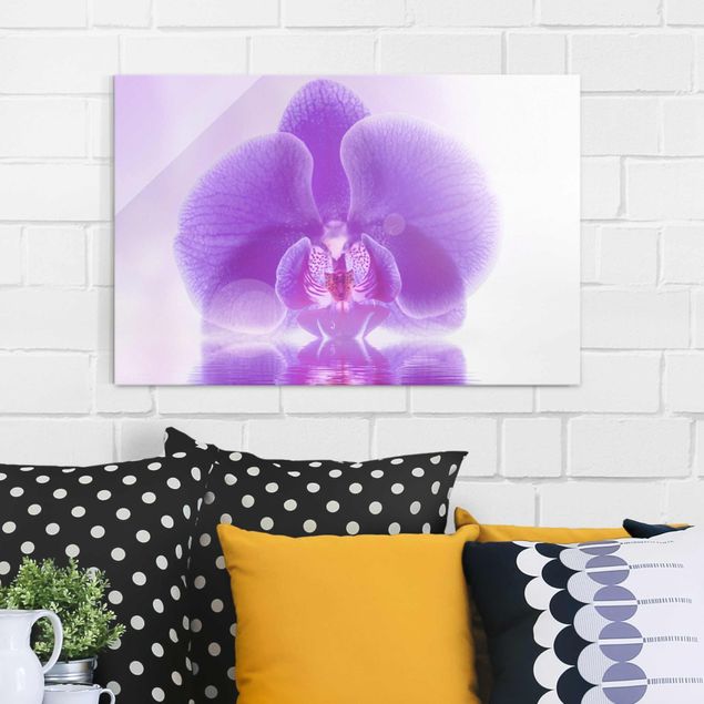 Magnettafel Glas Purple Orchid On Water