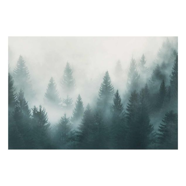 Glasschilderijen Coniferous Forest In Fog