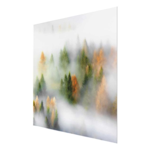 Glasschilderijen Cloud Forest In Autumn
