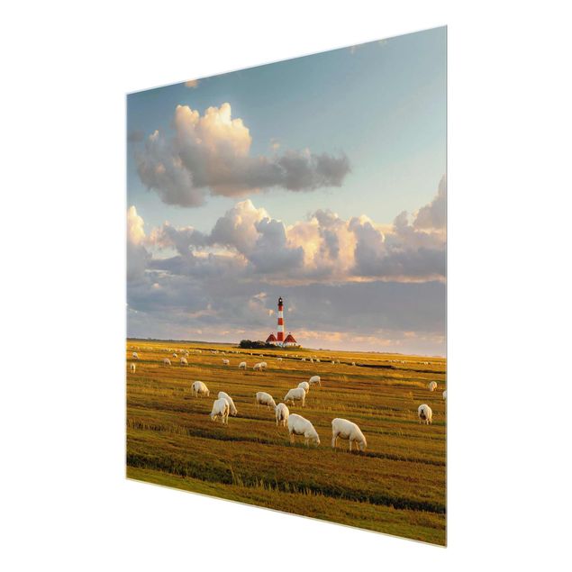 Glasschilderijen North Sea Lighthouse With Flock Of Sheep